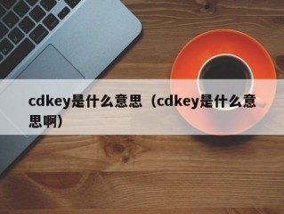 cdkey是什么意思（cdkey是什么意思啊）