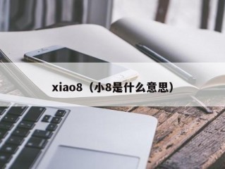 xiao8（小8是什么意思）