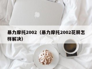 暴力摩托2002（暴力摩托2002花屏怎样解决）