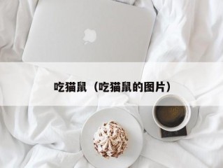 吃猫鼠（吃猫鼠的图片）