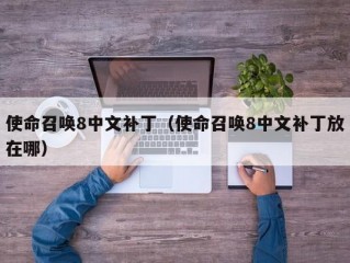 使命召唤8中文补丁（使命召唤8中文补丁放在哪）