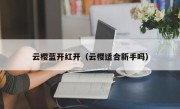 云樱蓝开红开（云樱适合新手吗）