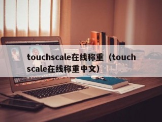 touchscale在线称重（touchscale在线称重中文）