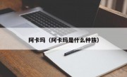 阿卡玛（阿卡玛是什么种族）