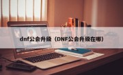 dnf公会升级（DNF公会升级在哪）