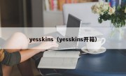 yesskins（yesskins开箱）