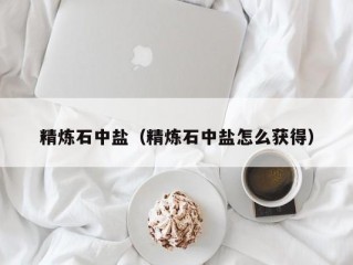 精炼石中盐（精炼石中盐怎么获得）