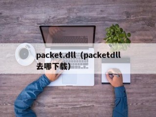 packet.dll（packetdll去哪下载）