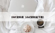 DNF资料库（dnf资料站下载）