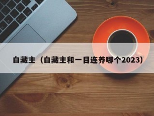 白藏主（白藏主和一目连养哪个2023）