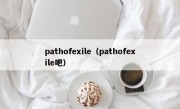 pathofexile（pathofexile吧）