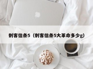 刺客信条5（刺客信条5大革命多少g）