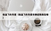 极品飞车热度（极品飞车热度车辆经销商在哪）