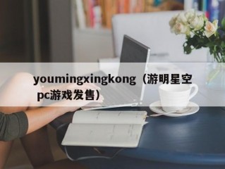 youmingxingkong（游明星空 pc游戏发售）