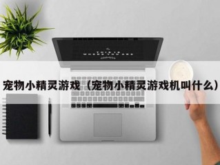 宠物小精灵游戏（宠物小精灵游戏机叫什么）