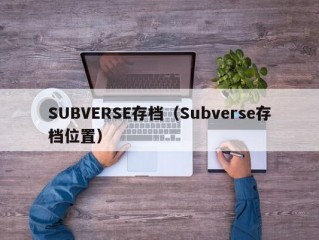 SUBVERSE存档（Subverse存档位置）