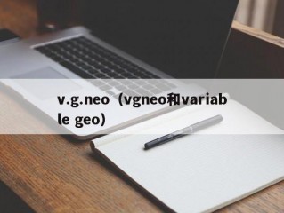 v.g.neo（vgneo和variable geo）