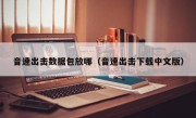 音速出击数据包放哪（音速出击下载中文版）