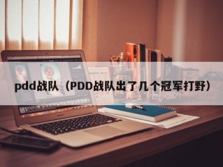 pdd战队（PDD战队出了几个冠军打野）