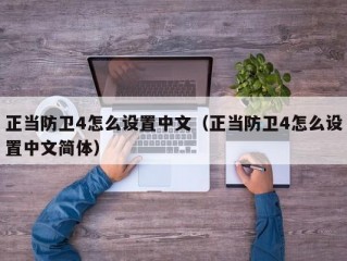 正当防卫4怎么设置中文（正当防卫4怎么设置中文简体）