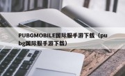 PUBGMOBILE国际服手游下载（pubg国际服手游下载）