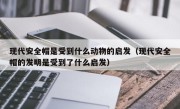 现代安全帽是受到什么动物的启发（现代安全帽的发明是受到了什么启发）