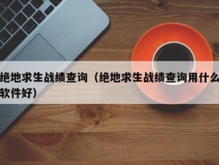 绝地求生战绩查询（绝地求生战绩查询用什么软件好）