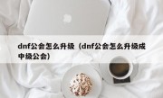 dnf公会怎么升级（dnf公会怎么升级成中级公会）