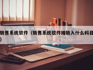 销售系统软件（销售系统软件摊销入什么科目）