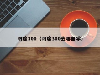 附魔300（附魔300去哪里学）