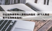 什么动物拥有和人类相似的指纹（除了人类还有什么动物有指纹）