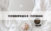 万籽麟刚得知被分手（万籽麟绯闻）