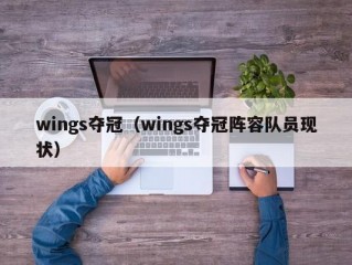 wings夺冠（wings夺冠阵容队员现状）