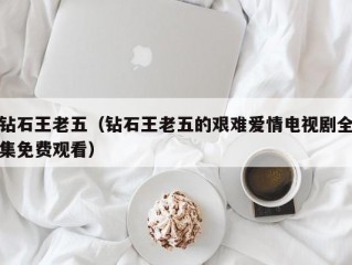 钻石王老五（钻石王老五的艰难爱情电视剧全集免费观看）