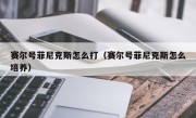 赛尔号菲尼克斯怎么打（赛尔号菲尼克斯怎么培养）