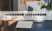 dnf公会仓库在哪（dnf公会仓库在哪里）