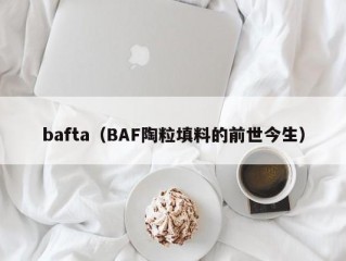 bafta（BAF陶粒填料的前世今生）