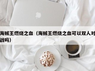 海贼王燃烧之血（海贼王燃烧之血可以双人对战吗）