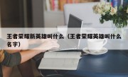 王者荣耀新英雄叫什么（王者荣耀英雄叫什么名字）